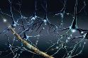 http://www.emsevilla.es/images/stories/noticias/actividad%20neuronal%20%5B320x200%5D.jpg