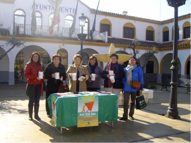 Cuestación en Bormujos